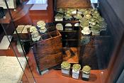 linnaeus museum uppsala 8-2015 8004